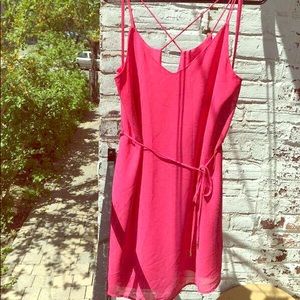 Very Pink Naked Zebra Dress